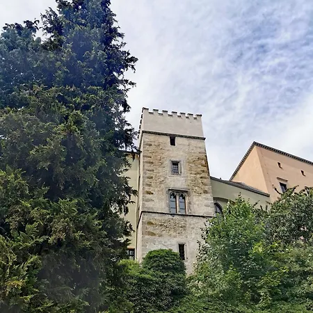 Zentrumsnahe Lejlighed *