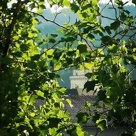 Zentrumsnahe Apartament