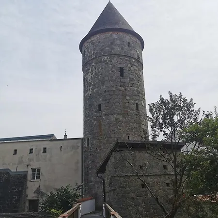 Zentrumsnahe *