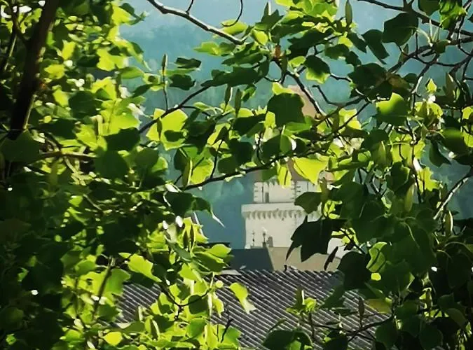 Zentrumsnahe Appartamento