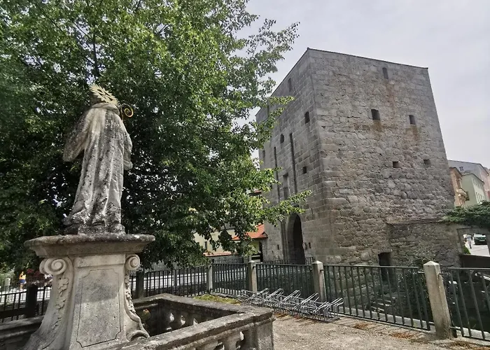 Zentrumsnahe Freistadt